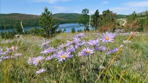 Прекрасный вид на озеро "Баланкуль", пение птиц. Отдых, сон, медитация,работа.