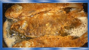 Жаренный карась без костей в сметане, Рецепты из рыбы от fisherman dv.27rus. #11