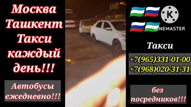 москва ташкент автобус, 89653310100 россия узбекистан автобус, такси ташкент автобус, #москва