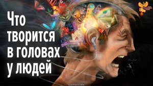 Что творится в головах у людей…