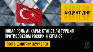 Новая роль Анкары: станет ли Турция противовесом России и Китаю? Дмитрий Журавлёв