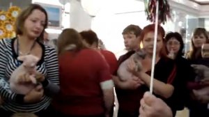 Темиртау Выставка кошек монопородка сфинксы ч3