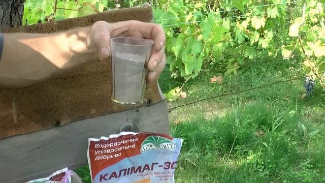 Август,пора удобрять виноград. смотреть онлайн