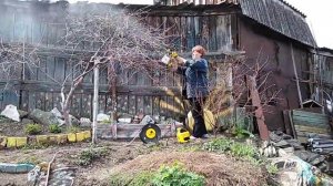 Краскопульт как опрыскиватель деревьев