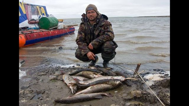 Таймыр 2014 смотреть онлайн
