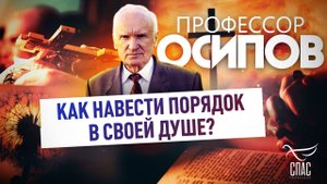 ПРОФЕССОР ОСИПОВ: КАК НАВЕСТИ ПОРЯДОК В СВОЕЙ ДУШЕ?
