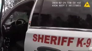 POLICE USA 22 (Police Activity USA 22, Полиция США - Выпуск 22 )