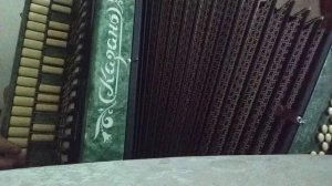 какие бывают гармошки: татарская гармонь "Казань"