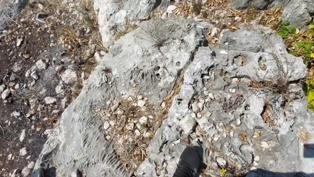 Следы рук в мягкой камне⁉️ ?Прямо сейчас в Аккале смотреть онлайн