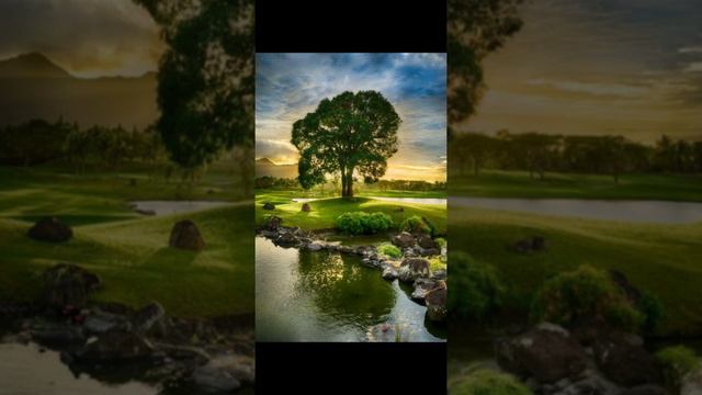 Иман нуры - Безнен яшь чакта дин юк иде смотреть онлайн