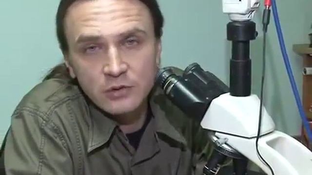 Теория заговора Тайна симферопольского вокзала