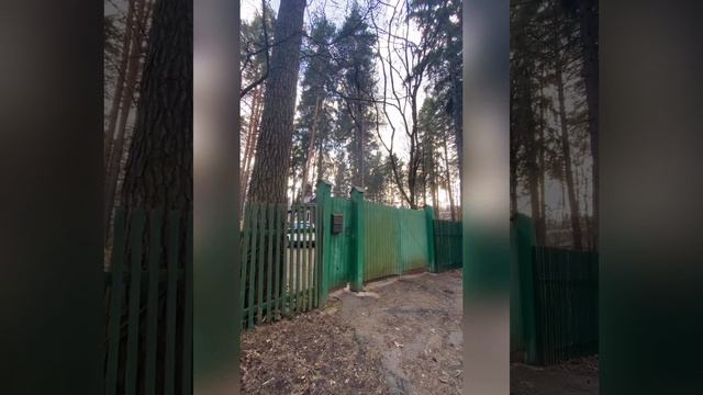 Гуляем по Переделкино. Прогулка 4. В гости к Александру Караганову.