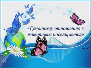 Гуманному отношению к животным посвящается.mp4