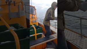 Мурманск поселок ура губа
