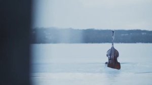 джеральдина