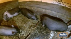 Автономная Мини ферма на даче