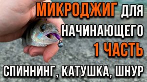 Микроджиг для начинающего, спиннинг, катушка, шнур (1 часть)