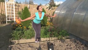 6 соток 15 сентября 2023 года.