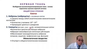 Гистология. Мышечная и нервная ткани