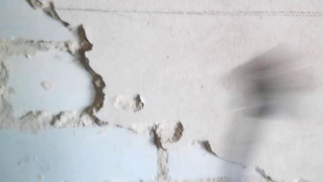 Козлячья штукатурка от Стройкомплекс 2002. Саратов смотреть онлайн