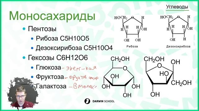 Тема 9: Углеводы смотреть онлайн