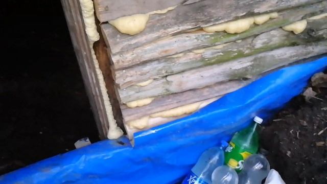 землянка в лесу, затопил печь, что с ней стало за месяц моего отсутствия смотреть онлайн