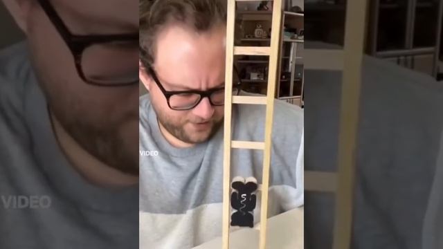 Эпичное падение кота с высоты! Кот сломался!