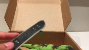 резиновые ящерицы и пальчиковый скейт