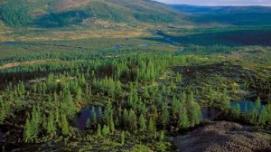 Top 10 Best National Parks to Visit in Russia | English