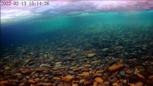 Хариус на Средней Терси