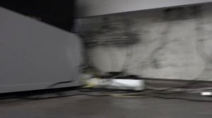КОРОЧЕ ГОВОРЯ, Я БЕЗДОМНЫЙ КОТЕНОК Лайки 23 [От первого лица] История одной жизни