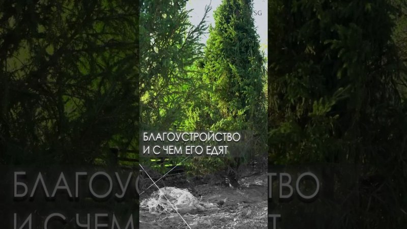 Рассказываем и показываем: благоустройство участка и что оно в себя включает #благоустройство