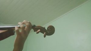 Violin Training #176