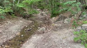 Дорога Белогорск-Приветное. Крым