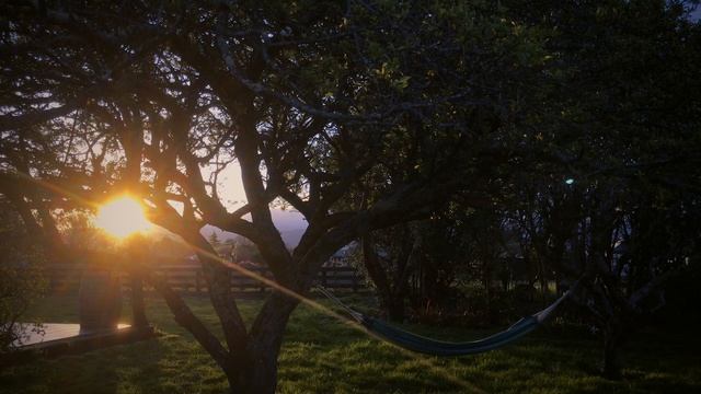 20 minute Deep Relaxation – Yoga Nidra | Yoga with Em смотреть онлайн