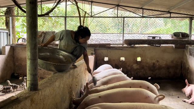 农村小伙带领一家七口走进深山生活 смотреть онлайн