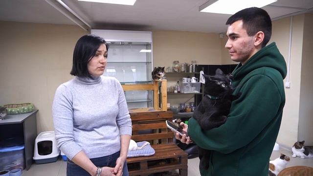 Судьба иркутского котокафе