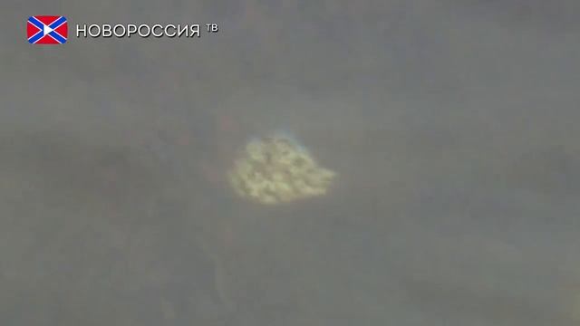 Проект Х. Стеллерова корова