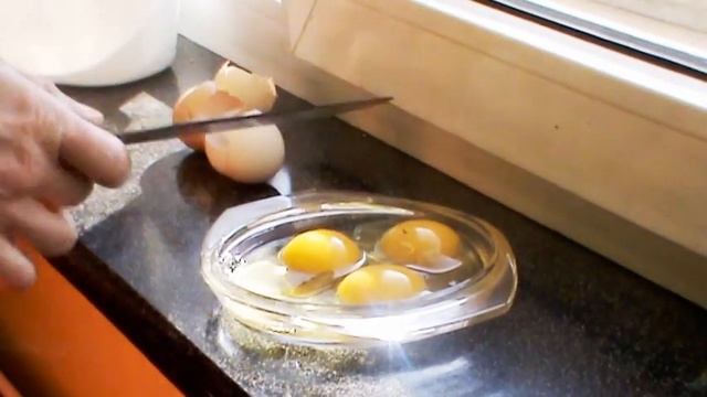 Как определить оплодотворенное яйцо Содержание кур проверка петухов на оплод смотреть онлайн