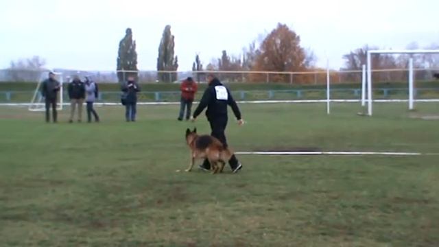 мутпроба - TEAM BULLE HOF NAOMI смотреть онлайн