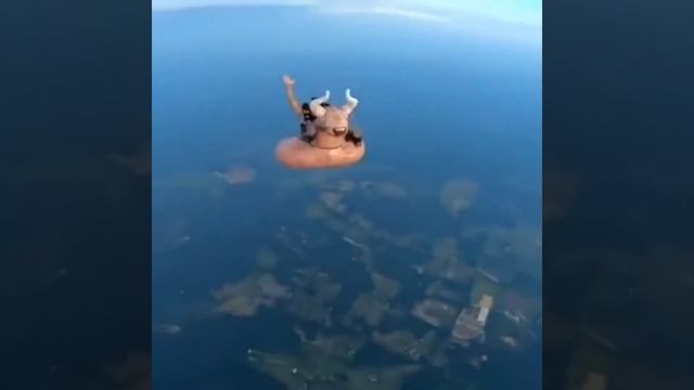 Смешной ролик в Ковбойском стиле ?✌️? смотреть онлайн