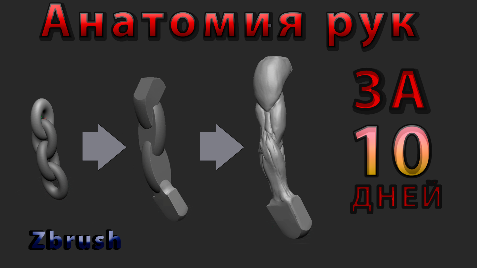Скульптинг анатомии рук за 10 дней в программе Zbrush