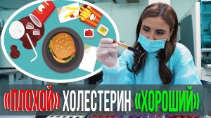 ХОЛЕСТЕРИН В КРОВИ – ЧЕМ ОПАСЕН? Проект "МЕДСОВЕТ"