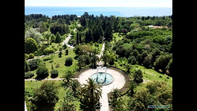 Санаторий Самшитовая роща (Абхазия) смотреть онлайн