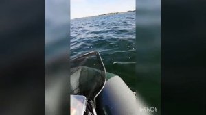 Рыбалка на Ириклинском водохранилище.