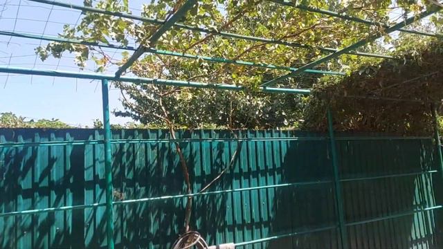 Дом-приют в Ташкенте.#приютдлясобак  #animalshelter  #бездомныеживотные