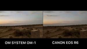 OM System OM-1 vs Canon EOS R6 Camera Test