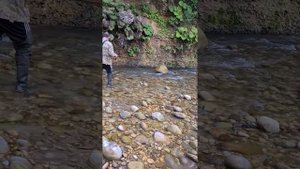 ловля горной речной форели в Осетии