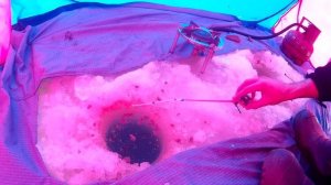 Ловля карася зимой. Озеро Чистое