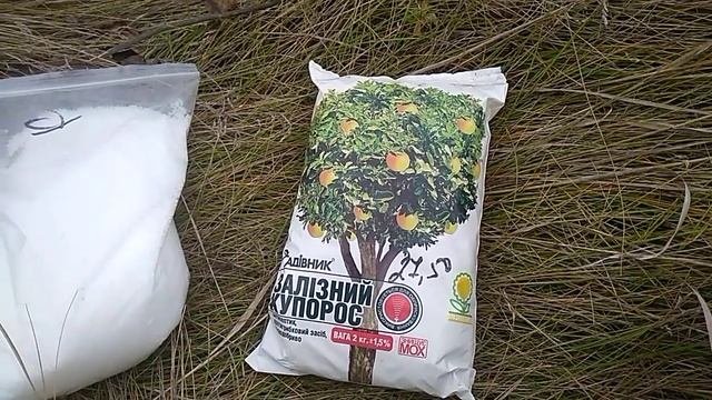 обработка, опрыскивание грецкого ореха, позднеосеннее
